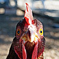 Laura Kendrick Photo 18