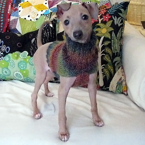 Billie Stewart Photo 39