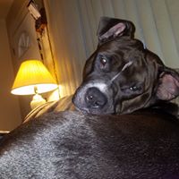 Michele Schuler Photo 5