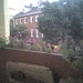 Julie Goodrich Photo 34