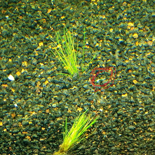 John Clevenger Photo 19