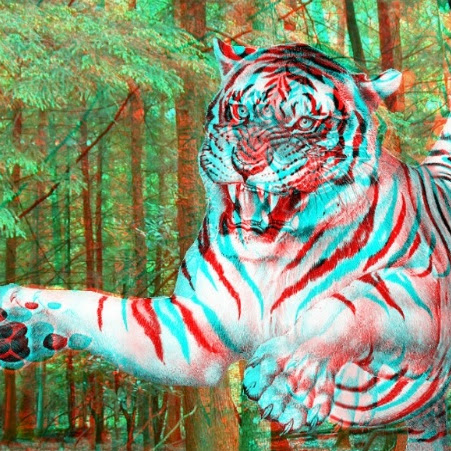 Celeste Williams Photo 16