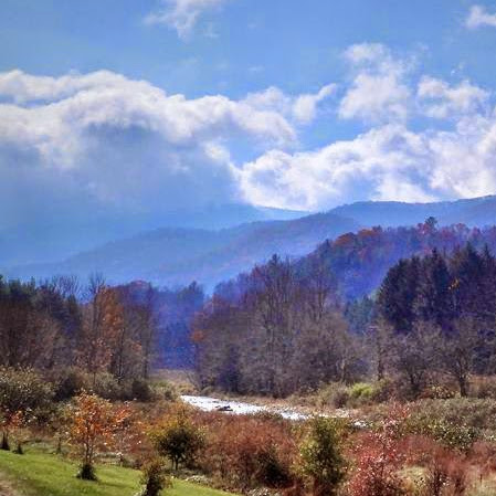 Allen Gibbs Photo 9