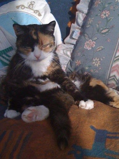 Victoria Marshall Photo 37 Victoria Marshall Photo 37