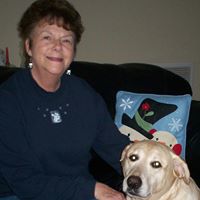 Laura Giles Photo 16