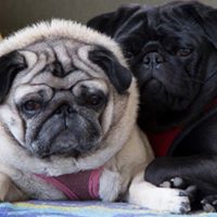 David Rector Photo 23