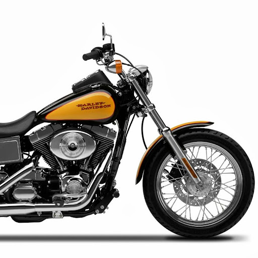 Teresa Briggs Photo 15