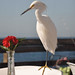 Lisa Robbins Photo 22