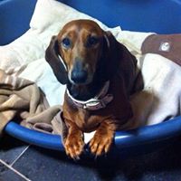 Elizabeth Mccormack Photo 27