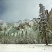 Edward Mendes Photo 18