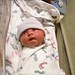 Mathew Conner Photo 16
