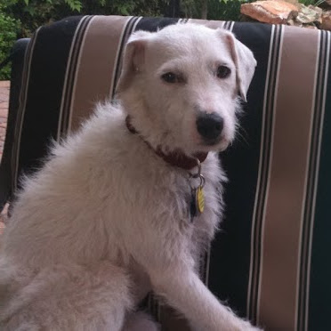 Vicki Graham Photo 34