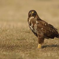 Neil Reilly Photo 24