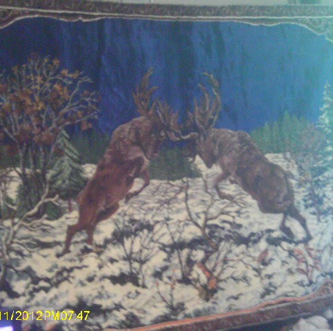 Julie Ferrell Photo 7