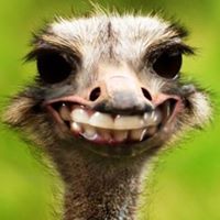 Nancy Bannister Photo 8