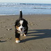 Donna Beach Photo 15
