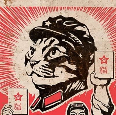 Wei Lu Photo 18