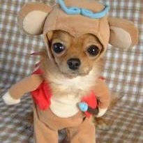 Emily Block Photo 12