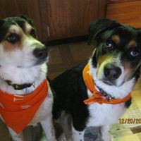 Bob Rhoads Photo 8