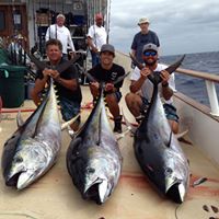 Terence Willis Photo 10