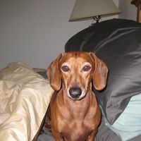 Mayra Gomez Photo 18