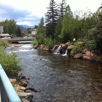 Susan Doyle Photo 38