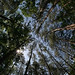 Christina Dotson Photo 31