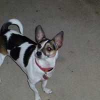 Anna Roberson Photo 7