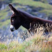 Donna Mcclure Photo 43