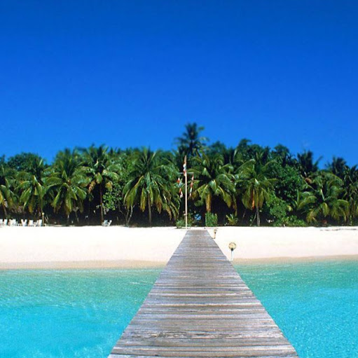 Susan Tomlin Photo 22