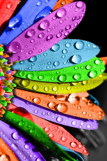 Samantha Carr Photo 20