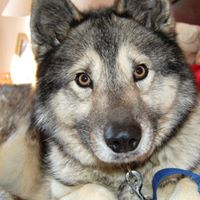 Alyce Clark Photo 28