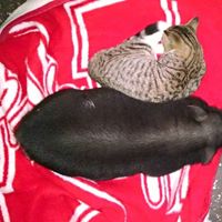 Peggy Peters Photo 25