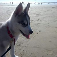 Ismael Garza Photo 12