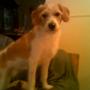 Brenda Naylor Photo 6