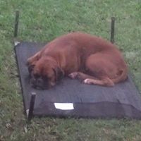 Gloria Blake Photo 22