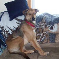 Clare Schneider Photo 7