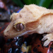 Samuel Nichols Photo 33 Samuel Nichols Photo 33