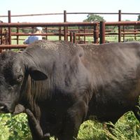 Roger Kelley Photo 9