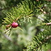 Nancy Sprague Photo 14