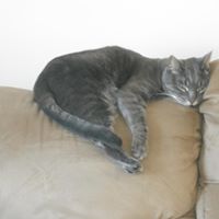 Julie Trombley Photo 20