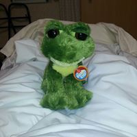 Ron Ritchie Photo 24