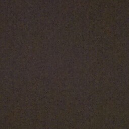 Steve Tsang Photo 24