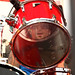 Allan Carter Photo 11