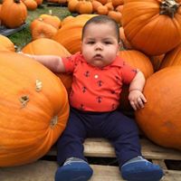 Nancy Faber Photo 27 Nancy Faber Photo 27