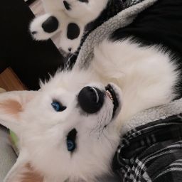 Christoph Richter Photo 10 Christoph Richter Photo 10