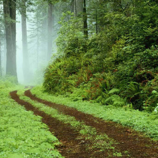 Robert Crouse Photo 20