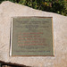 Nellie Casey Photo 14