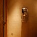 Laura Engle Photo 19
