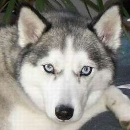 Vickie Parker Photo 6